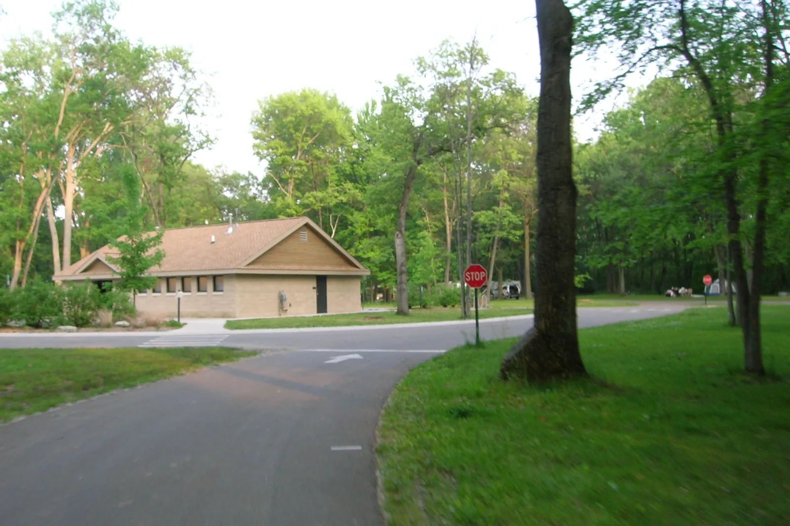 Tree-lined road in Bay City State Recreation Area, Michigan