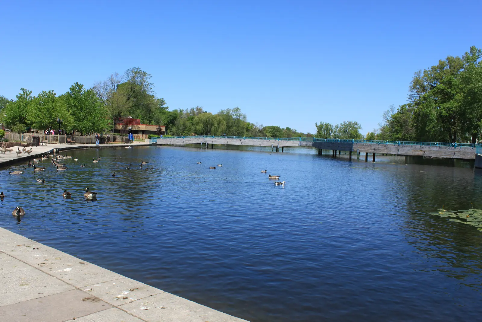 Millpond Park in downtown Brighton, Michigan