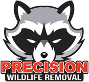 Precision Wildlife Removal raccoon logo