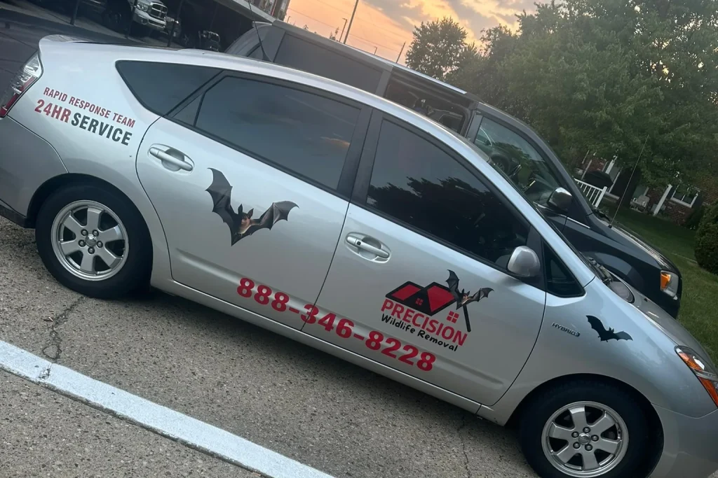 Precision Wildlife Removal service vehicle with the 888-346-8228 number