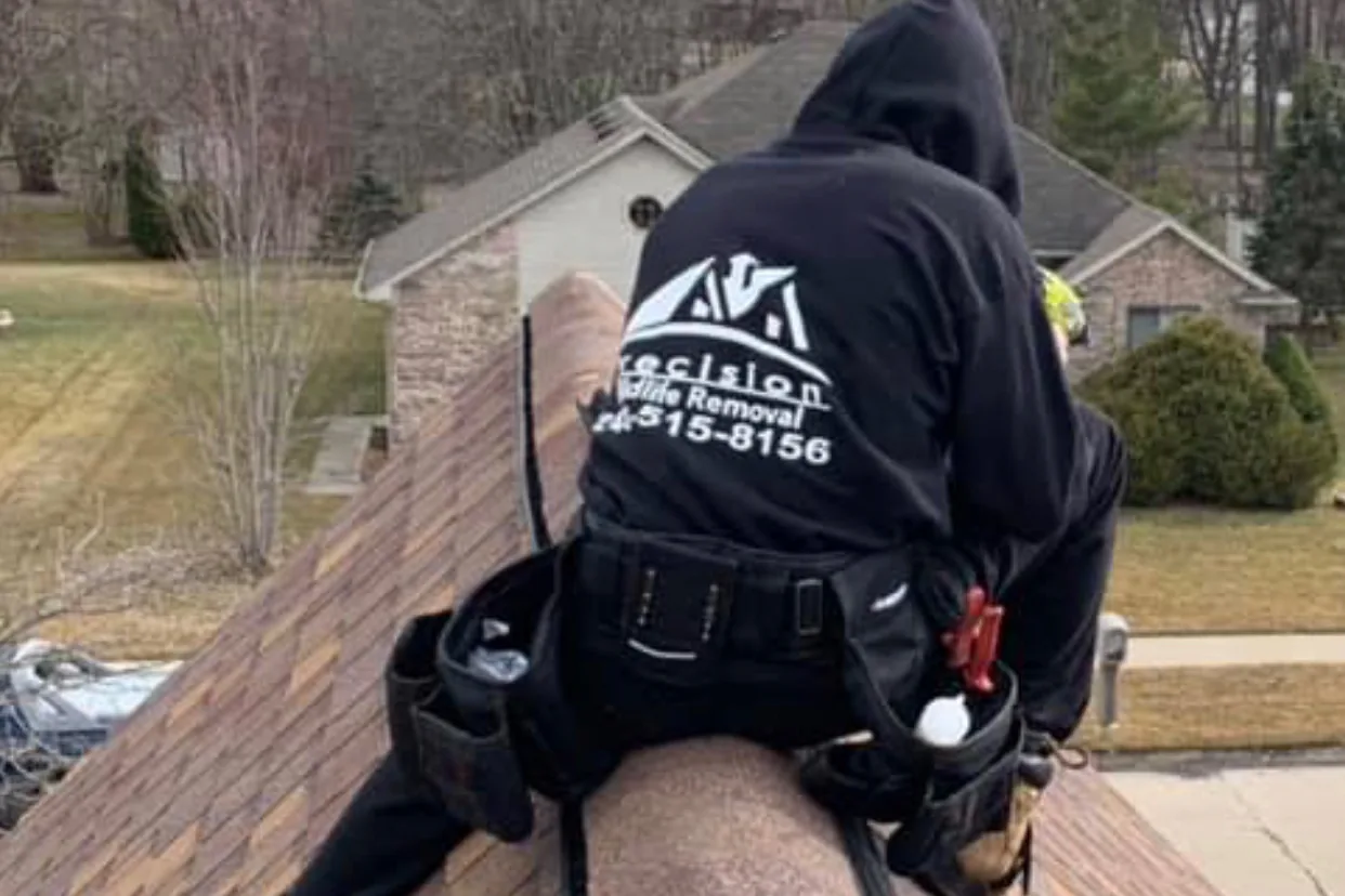 Precision Wildlife Removal technician working on a roof ridge